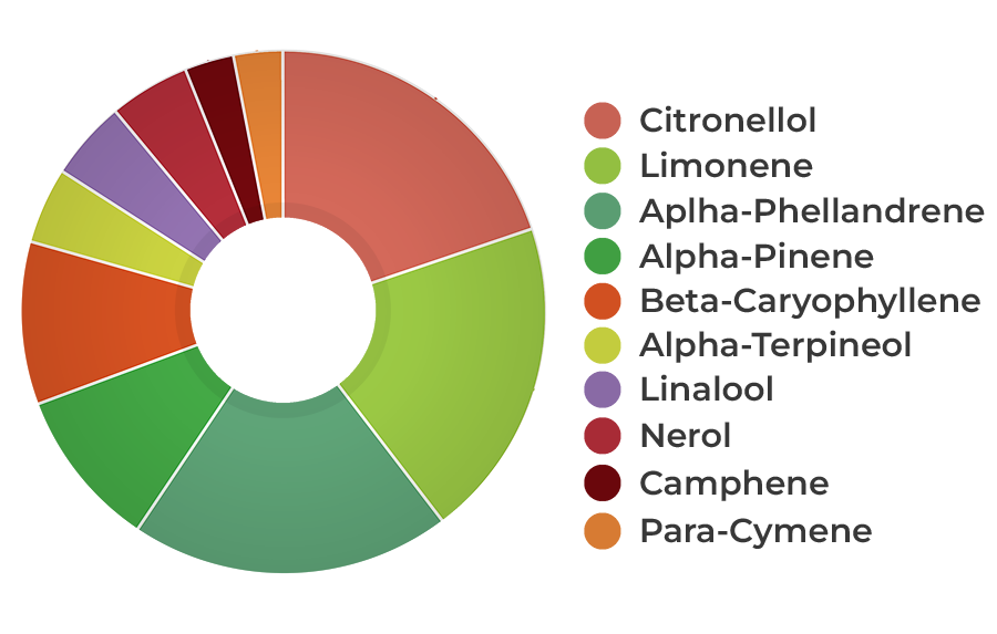 HEMPIT HEMP!TERP Creative 9% CBD Ulei cu terpene