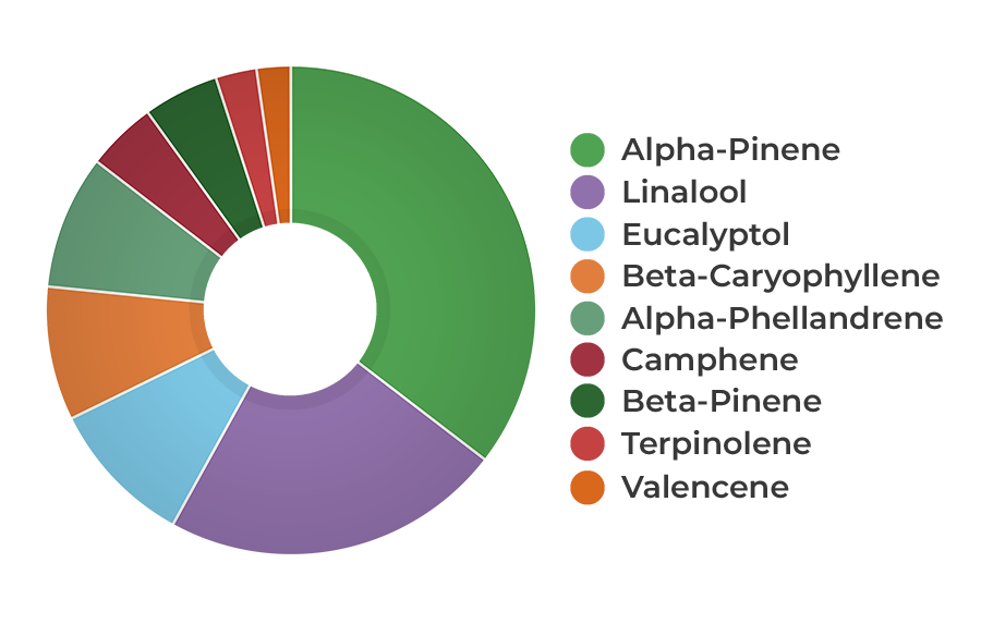 HEMPIT HEMP!TERP Focus 3% CBD Ulei cu terpene