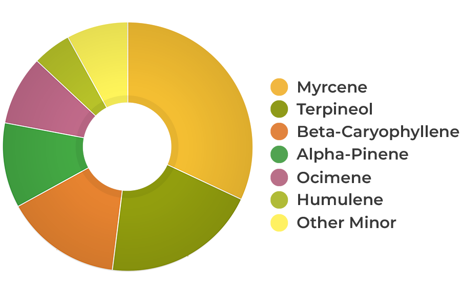 HEMPIT Profil de terpene din extract natural de cânepă CBD 9%
