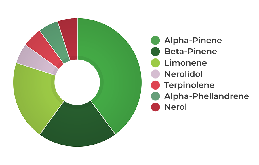 HEMPIT HEMP!TERP Power 6% ulei CBD cu terpene